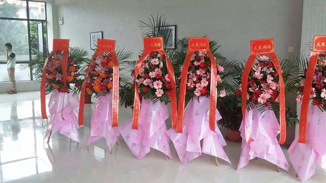 蜜桃视频黄色网站入口裝飾開業大吉.jpg