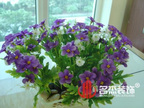 辦公室蜜桃成人在线免费视频.jpg