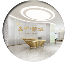 辦公室蜜桃成人在线免费视频設計